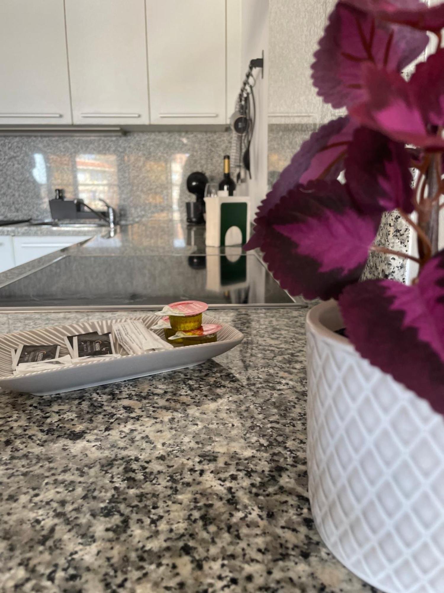 Apartamento Parque Real Castellón de la Plana Eksteriør billede